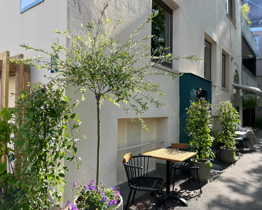 Seating in the courtyard under the trees